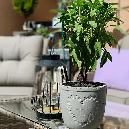 Zum Weissen Haus Pensión