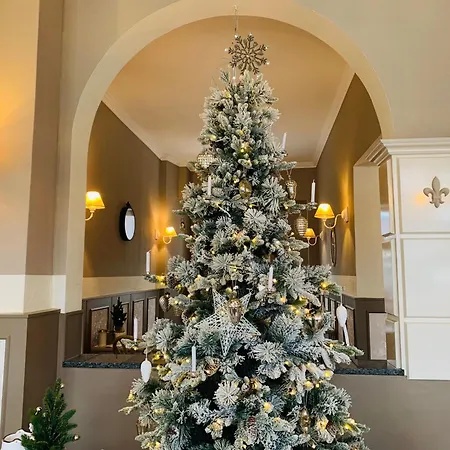 Zum Weissen Haus Guest house Schwerin (Mecklenburg-Vorpommern)