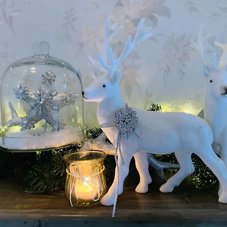 Zum Weissen Haus Pensión Schwerin (Mecklenburg-Vorpommern)