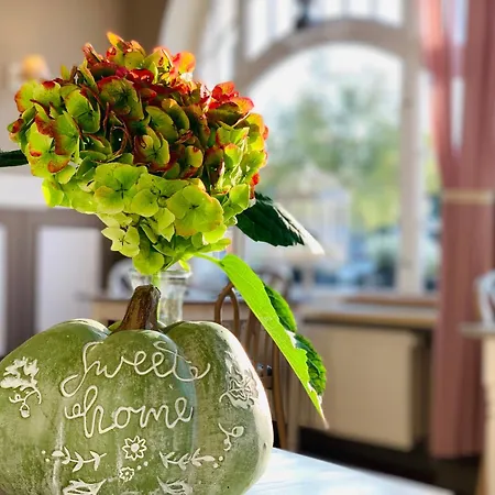 Zum Weissen Haus Pensión