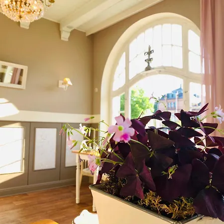 Zum Weissen Haus Guest house Schwerin (Mecklenburg-Vorpommern)