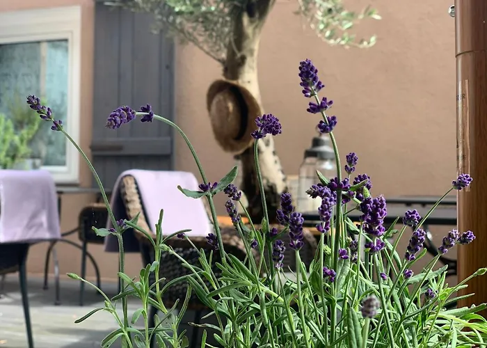 Zum Weissen Haus 3* Schwerin (Mecklenburg-Vorpommern)