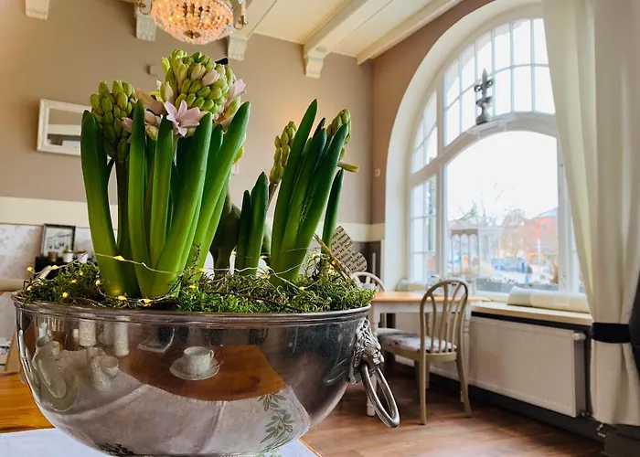 Pensión Zum Weissen Haus 3*