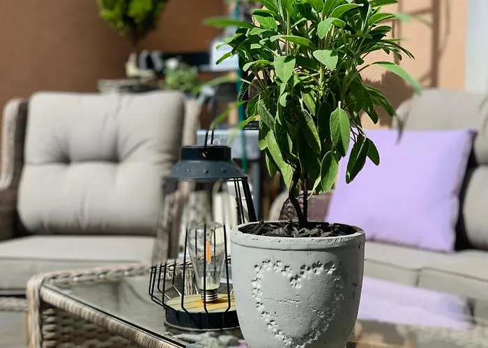 Zum Weissen Haus בית הארחה