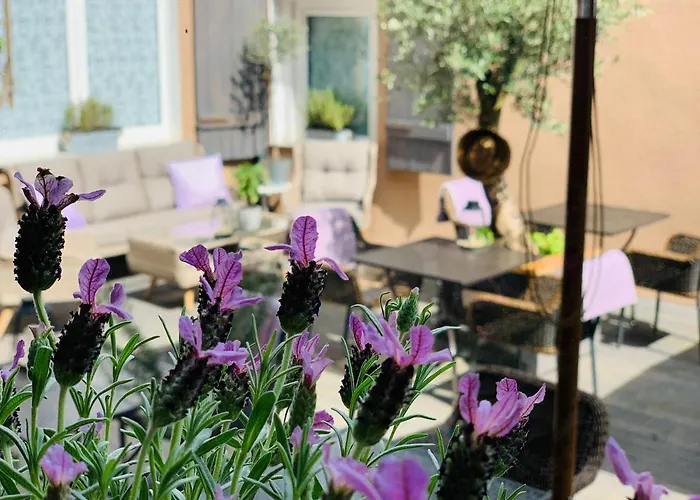 Zum Weissen Haus Schwerin (Mecklenburg-Vorpommern)