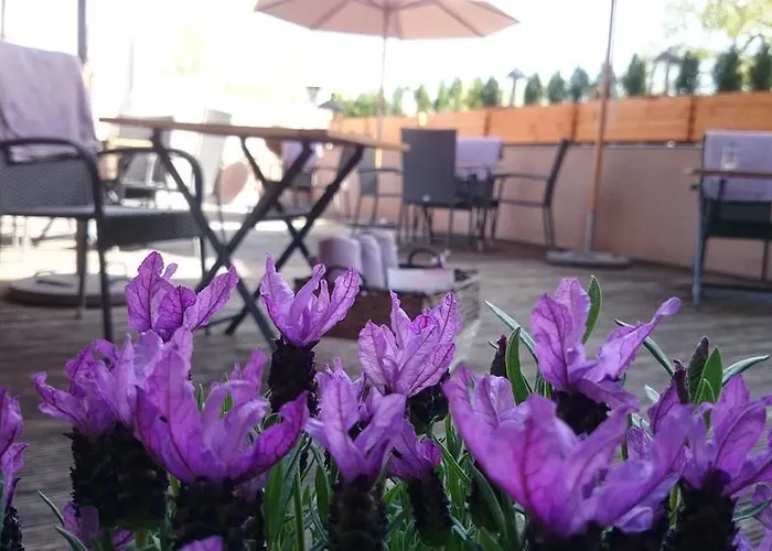 בית הארחה Zum Weissen Haus 3*