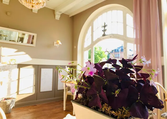 Zum Weissen Haus Guest house Schwerin (Mecklenburg-Vorpommern)